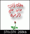     

:	4772_shatelarab_com.gif‏
:	934
:	268.4 
:	11671