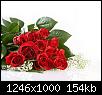     

:	rose12640x480.jpg‏
:	839
:	153.7 
:	992