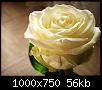     

:	rose_blanche.jpg‏
:	462
:	55.7 
:	2422