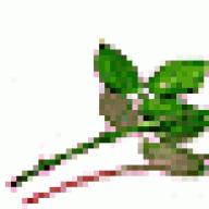 أم هاجر المغربية