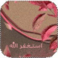 عزة في زمن الذل