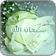 مبحرة بقلمي