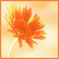 شمس الإيمان