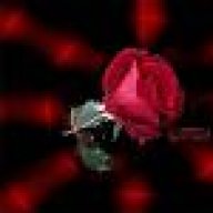 زهرة الأحبة