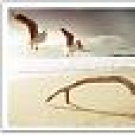 منارة الشرق