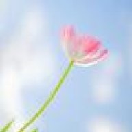 روْض الهُدى