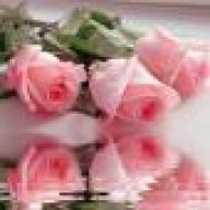 أمة الله المؤمنة