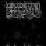 أم الأئمه السلفيه