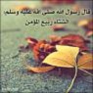 اميمه تقوى القلوب