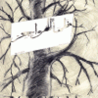 ظمأ الهواجر