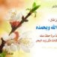 حفصة ام بلال