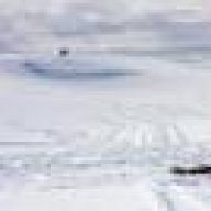 أمل سامي أبو عباس