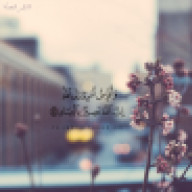 سيرين أم عبد الرحمان