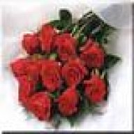 زهـور الكادي