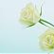 أم البراء السلفية