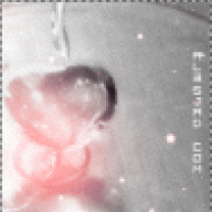 طالبة الشهادة