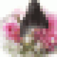 ام مروان الاثرية