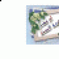 خادمة السنة