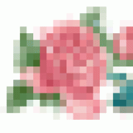 بشائر النور