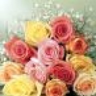 بنت حاملة المسك