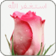 أم عمر السلفية