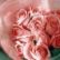 الشهيدة بإذن الله