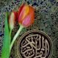 بداية جديدة