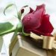 أم عبد الرحمن مصطفى