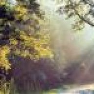 ام عبد الرحيم الشاعر