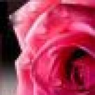 لؤلؤة المدينه