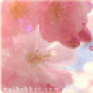 الغريبة في الحياة